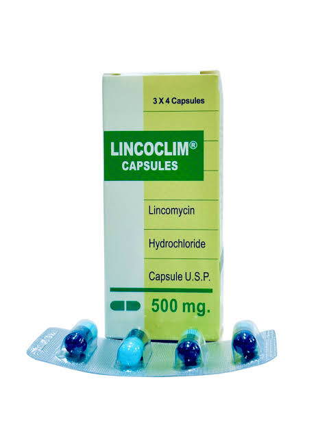 Image of Lincomycin